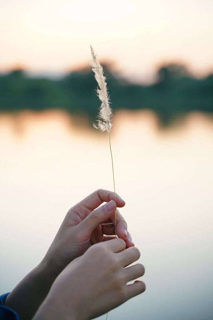 Close-up of Hands Holding a Feather by the Water