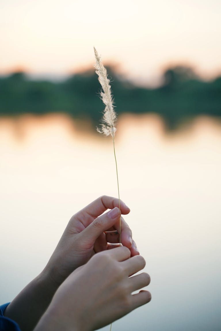 Close-up of Hands Holding a Feather by the Water
