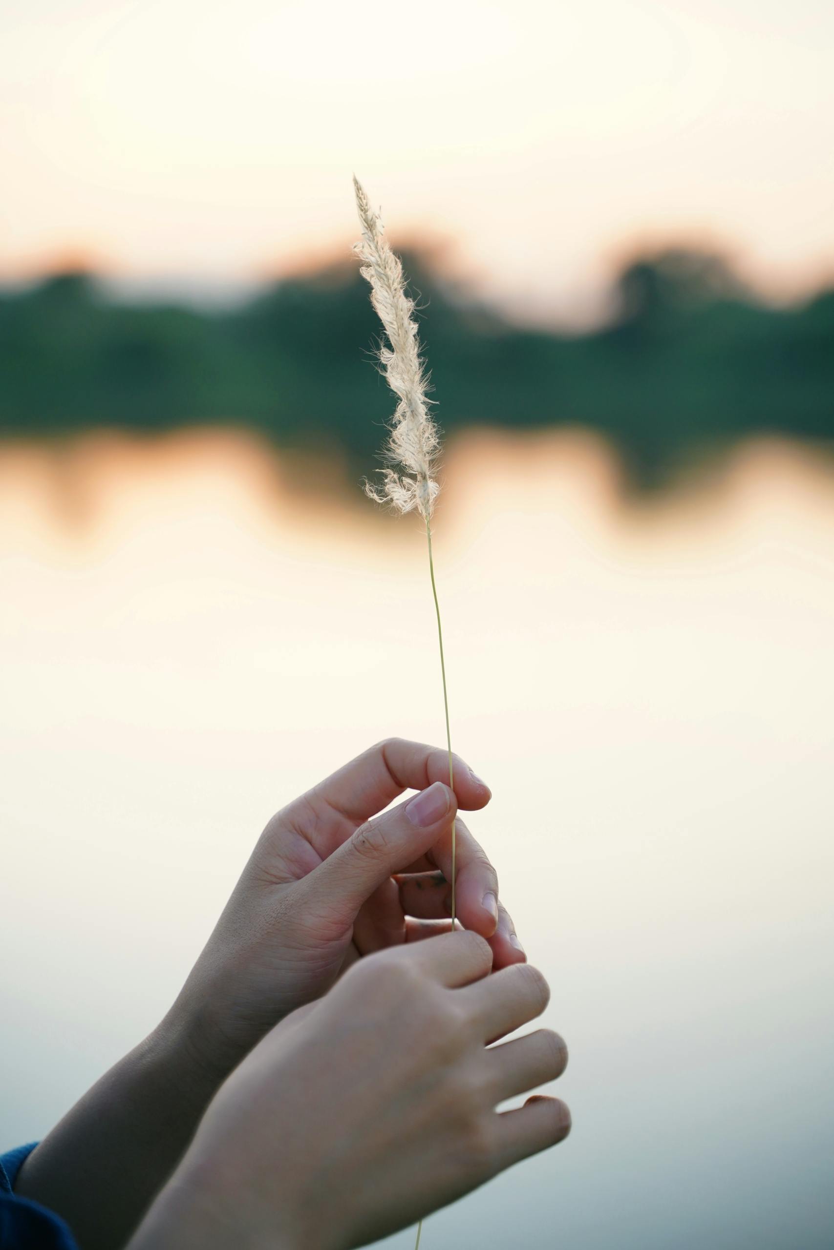 Close-up of Hands Holding a Feather by the Water